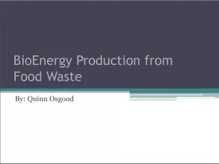 BioEnergy Production from Food Waste: A Sustainable Solution