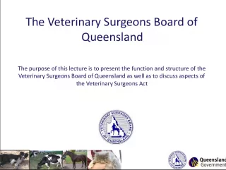 The Veterinary Surgeons Board of Queensland: Structure and Functions