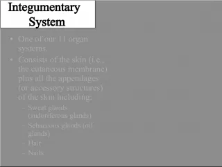 The Integumentary System: Functions and Components
