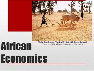 Economic and Agricultural Overview of Africa