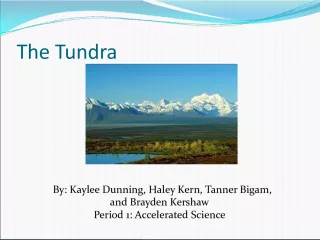 The Tundra and its Tourist Attractions